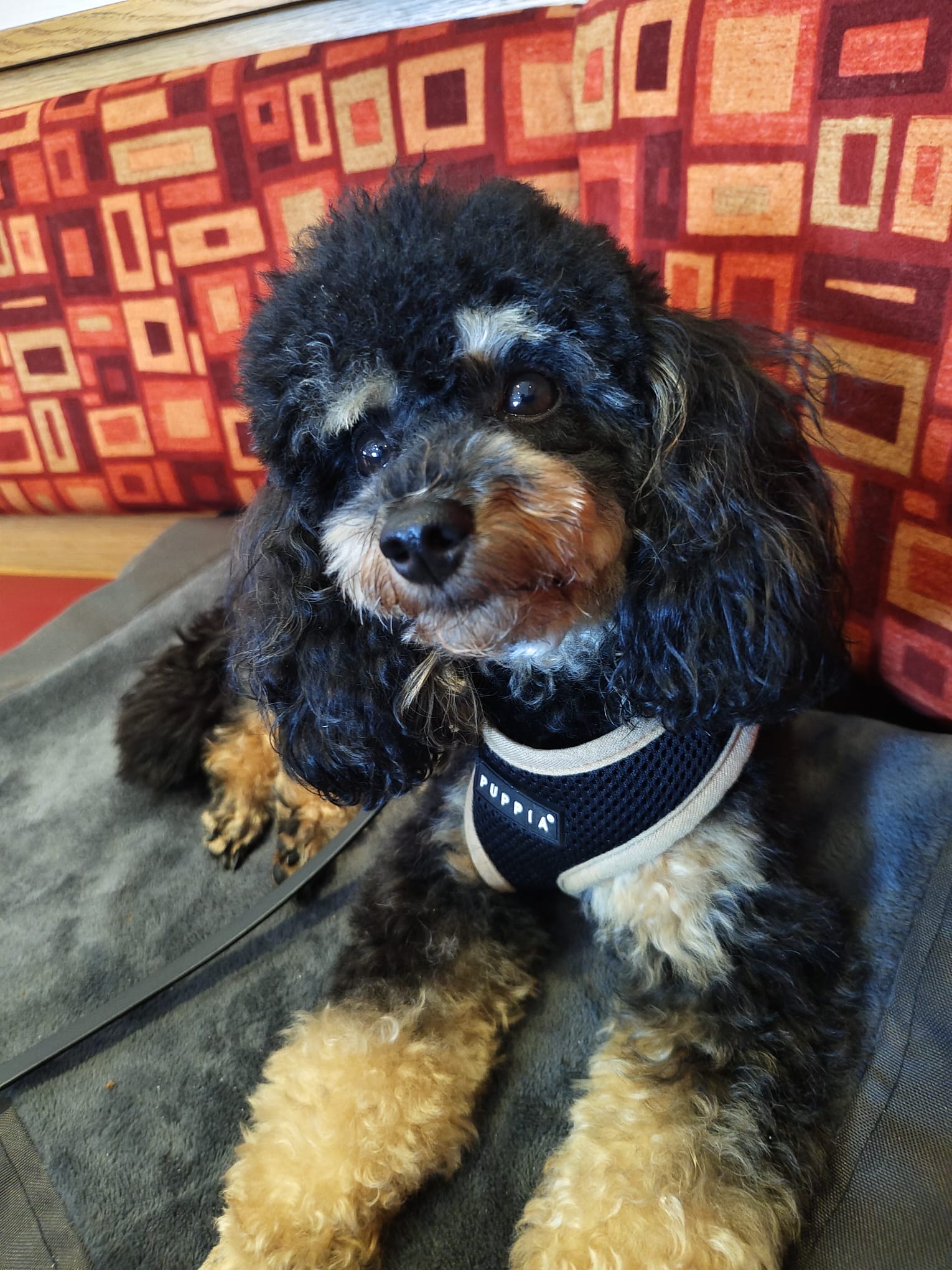 8ae7f5cd-5aa3-4804-aa14-a2966d262262