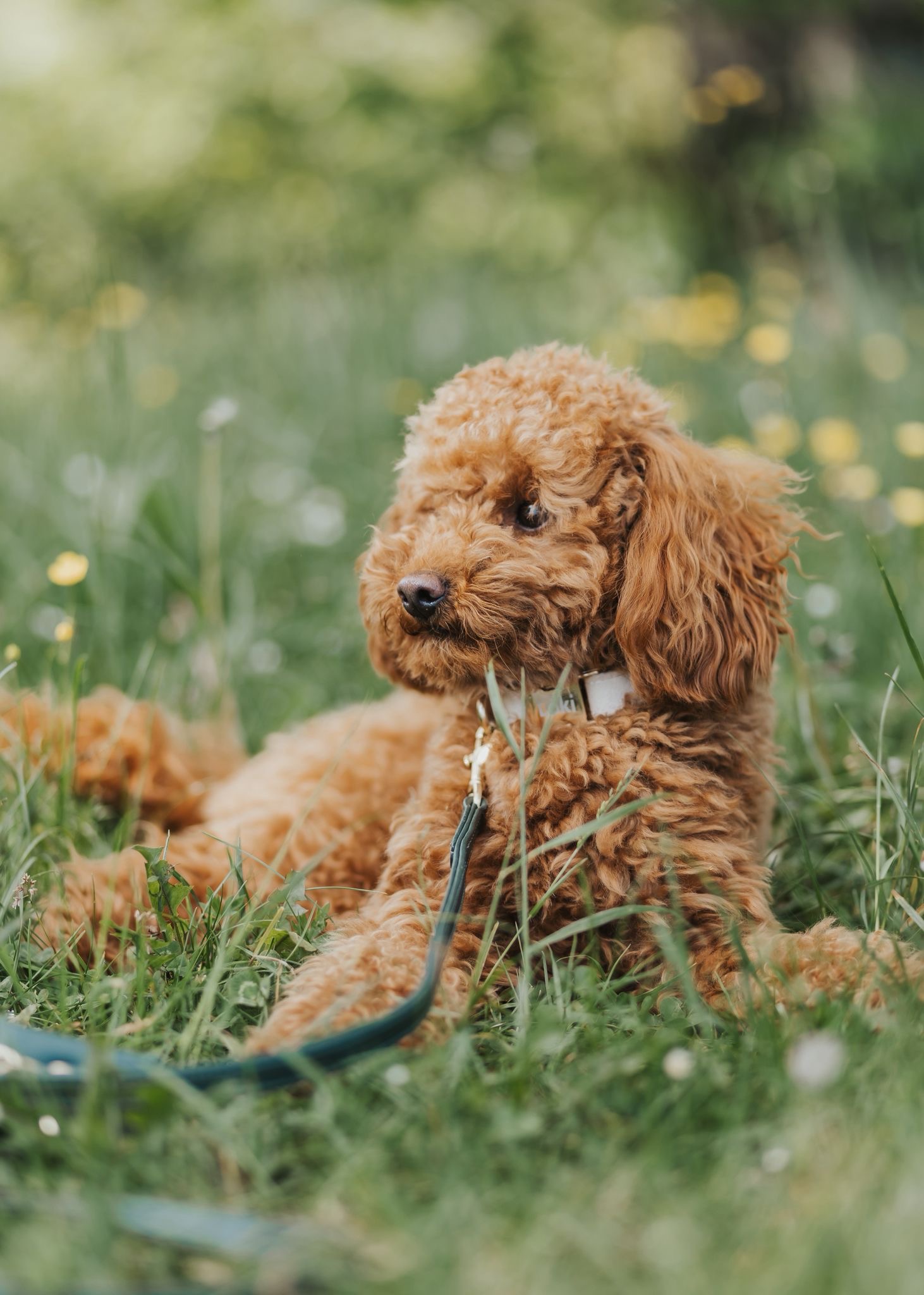 bd5b659a-3163-432e-95d8-cc7b04ffc8c2