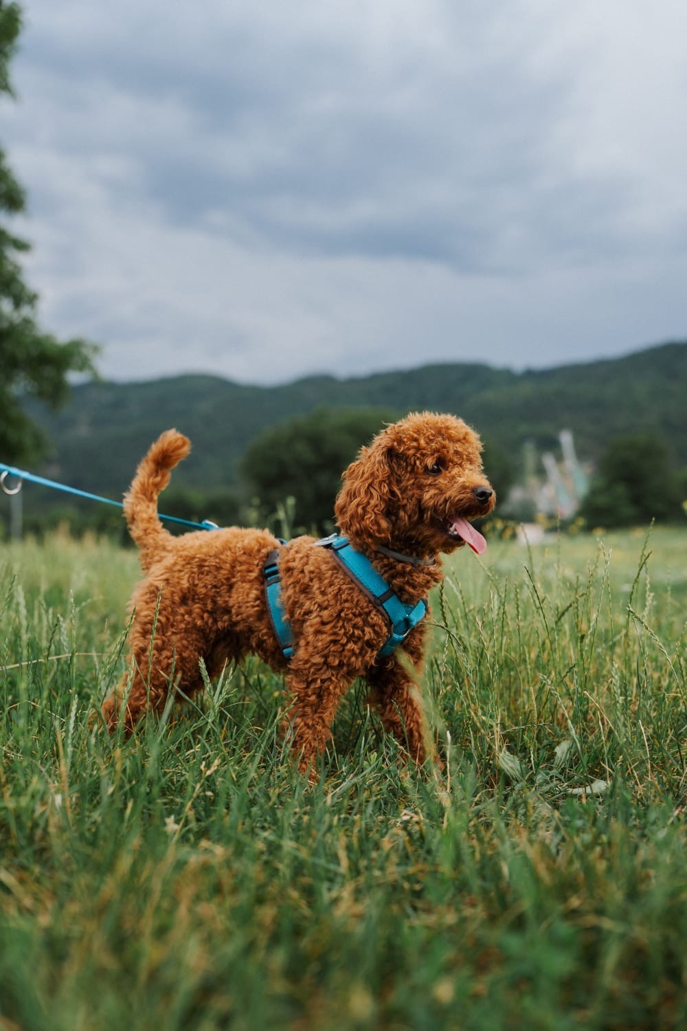 df49f8bc-1eff-4364-9d2a-26dd09dcf90c