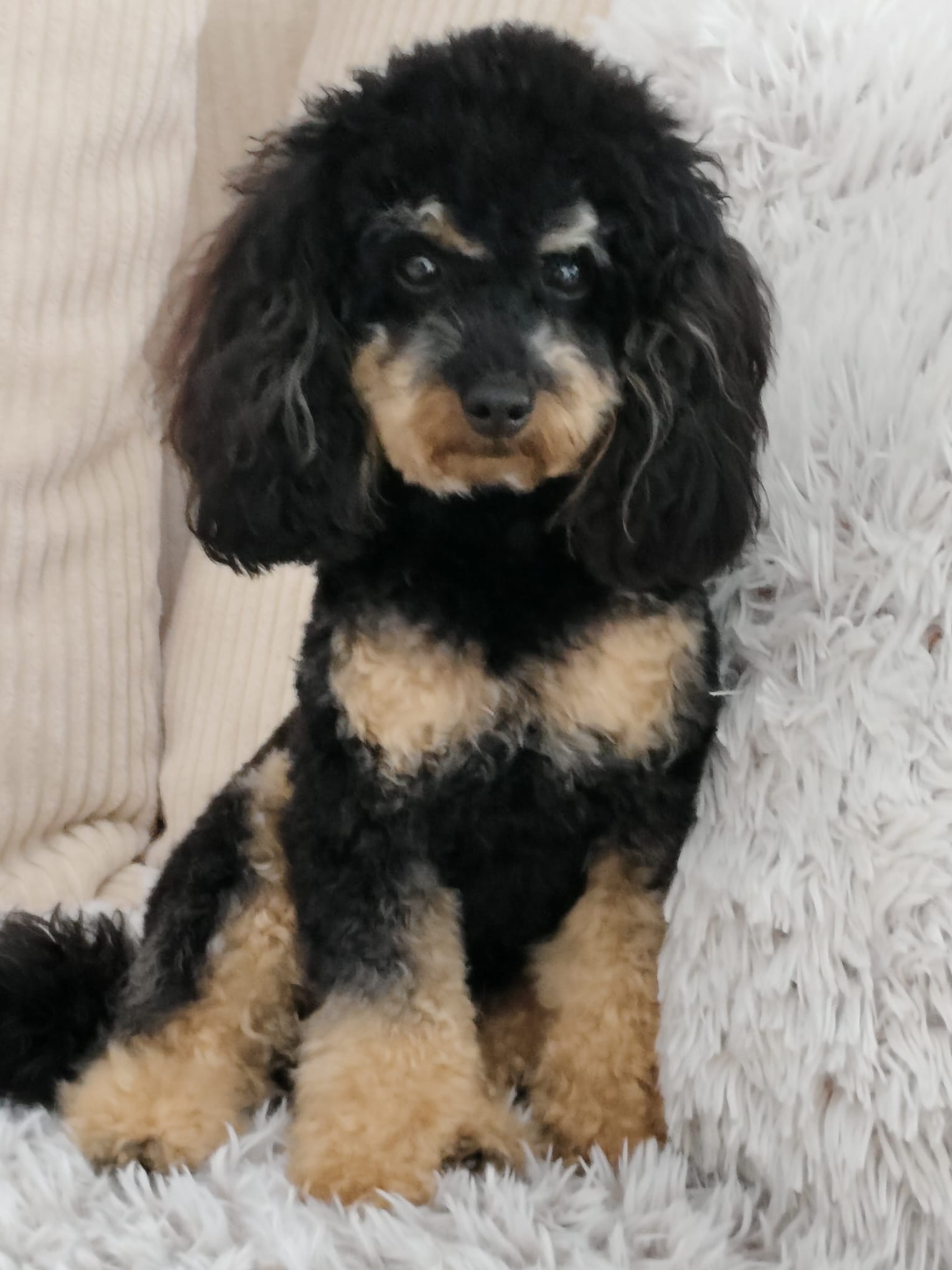 e7769df3-ac1d-4a1b-aee9-00fca09e02c6