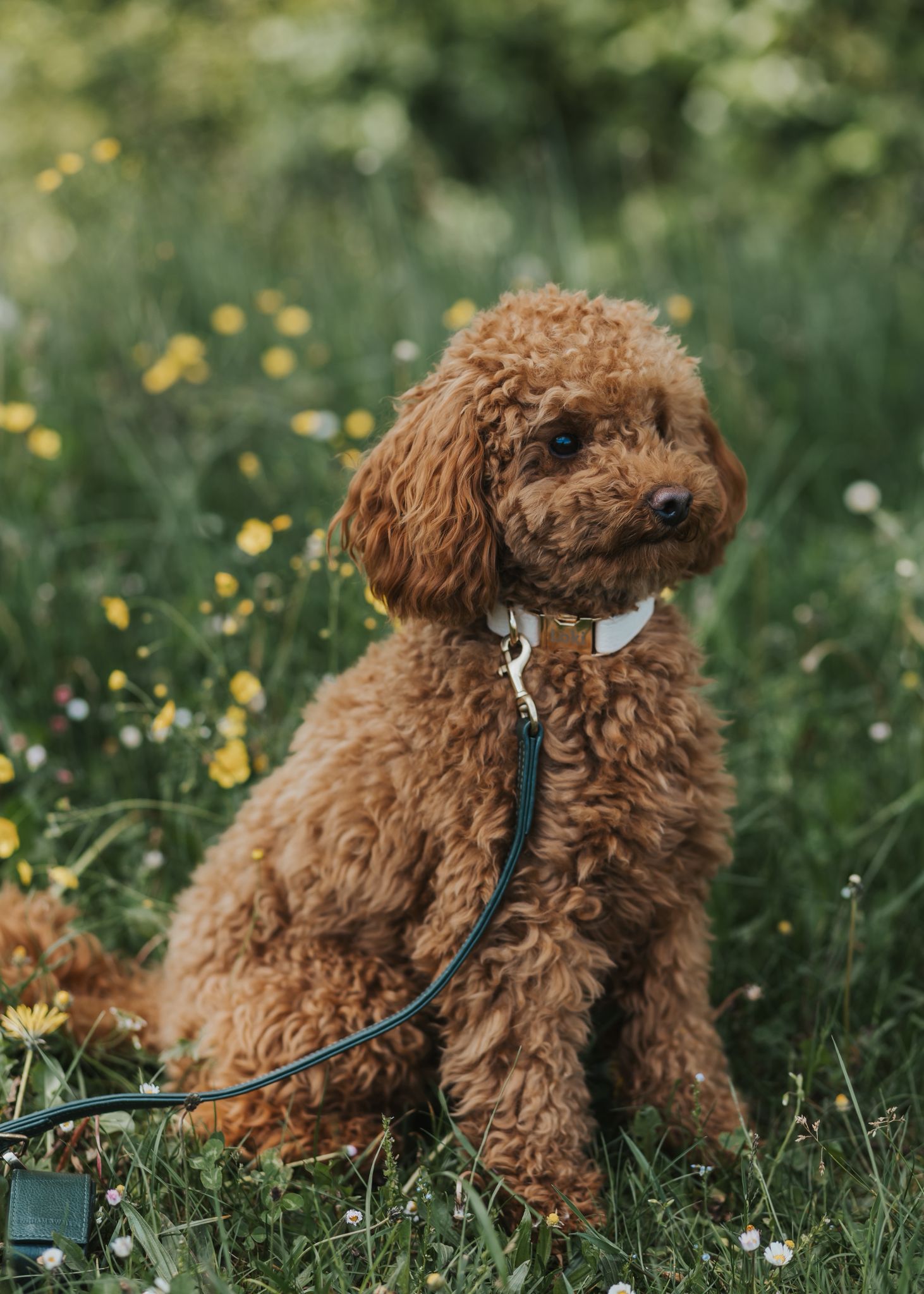 f17e0854-7f2a-4aab-9bfd-70441949ff5c